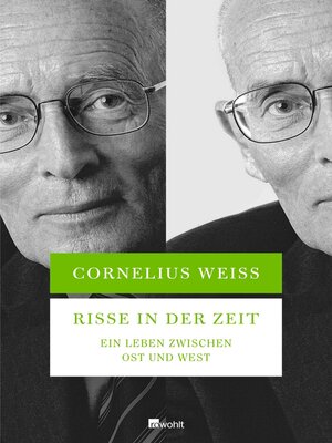 cover image of Risse in der Zeit